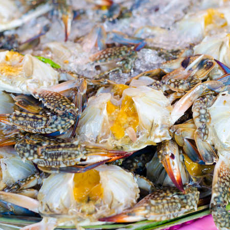 Flower crab, Blue crab, Blue swimmer crab, Blue manna crab, Sand crab, Portunus pelagicus, Portunus