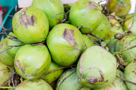 Fresh Topical coconutsの写真素材