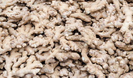 heap of ginger rootの写真素材