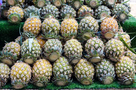 pineapple backgroundの写真素材