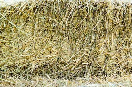 close up Texture Background of brown straw heap