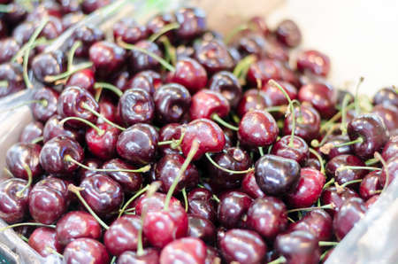 red cherryの写真素材