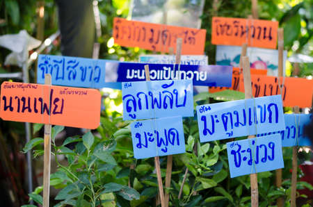 BANGKOK,THAILAND - 30 JANUARY 2017 : selling plant sign at marketのeditorial素材
