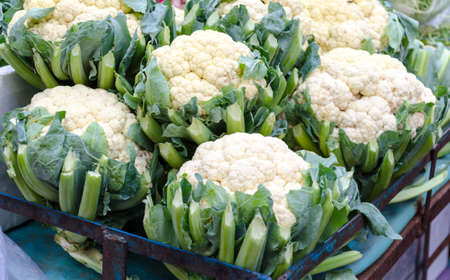 fresh Cauliflower in marketの写真素材