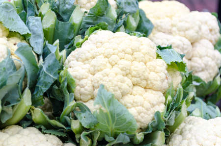 fresh Cauliflower in marketの写真素材
