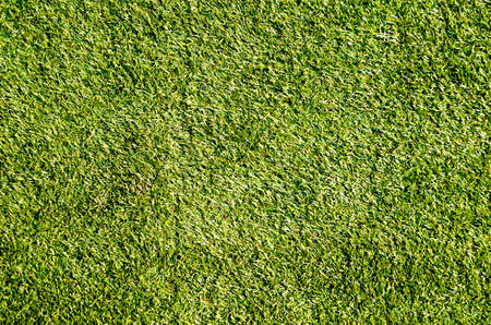 Green grass soccer field backgroundの写真素材