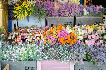 Flower shop outdoor at Jatujak weekend market Bangkok Thailand.のeditorial素材