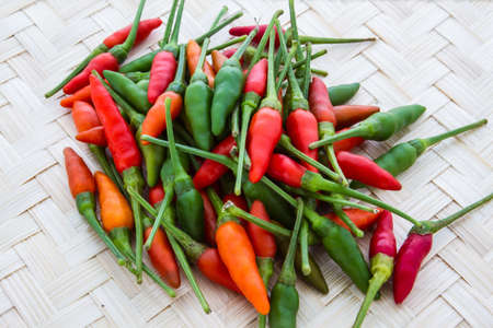 A Variety Red and Green Pepper の写真素材