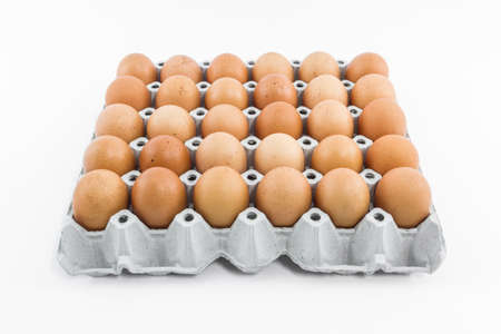 Eggs in the  paper tray package isolated on white background.