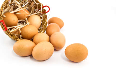 Eggs in the package isolated on white background.の写真素材