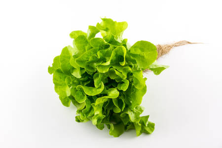 Green oak salad isolated on the white background.の写真素材