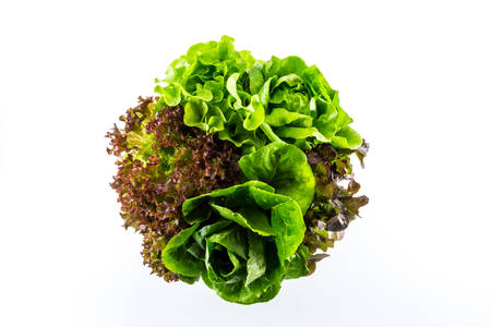 salad isolated on the white background. の写真素材