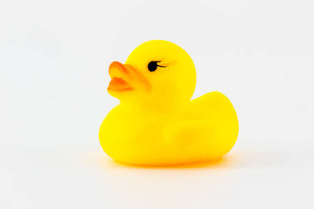 Yellow rubber duck isolated on the white background.の写真素材