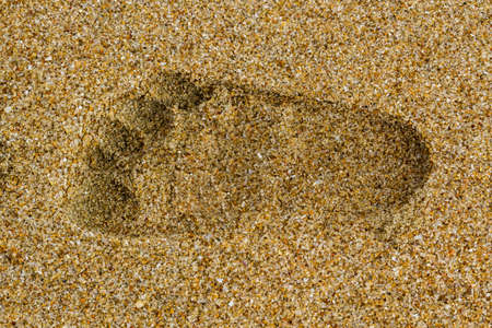 Baby right footprints in the sand of a beachの写真素材