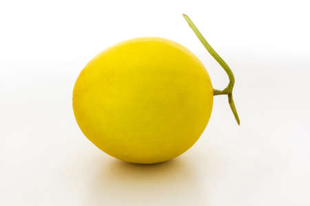 Cantaloupe melon isolate on white background の写真素材