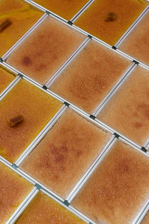 Background of Ancient thai dessert  Mung Bean Custard Dessert Recipe, Khanom Maw Kaeng  thai name  made with eggs and pumpkin の写真素材