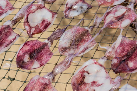 Dried Squid, traditional squids drying in the sun in a idyllic fishermen village,Thailand.