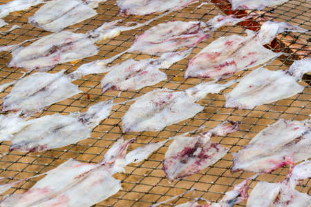 Dried Squid, traditional squids drying in the sun and blue sky in a idyllic fishermen village,Thailand.の写真素材