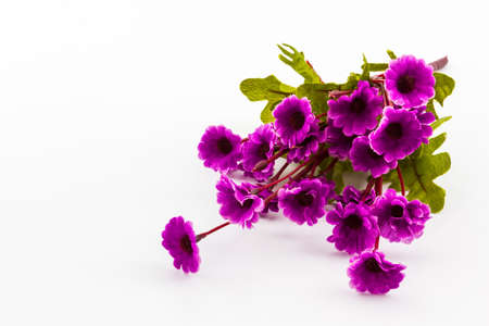Artificial purple of flowers made from cloth on white background  の写真素材