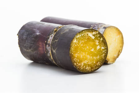 Sugar cane isolated on white background. の写真素材