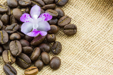 Brown roasted coffee beans on sack background.の写真素材