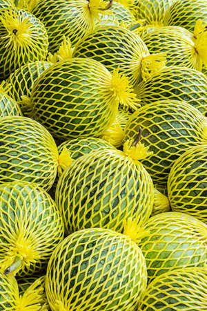 Stack of watermelon in yellow shockproof for sale at the market.の写真素材