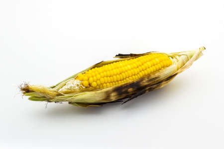 Closeup grilled corn on white background, Thai Grilled corn. の写真素材