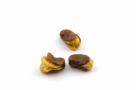 Fried Vicia faba bean on white background. 