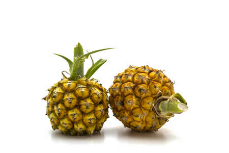 Sweet Pineapple fruit on white background. の写真素材