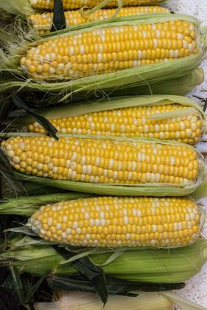 Group of fresh organic corn at the market in China. 