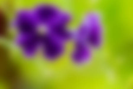 Natural green,Abstract nature backgroundの写真素材