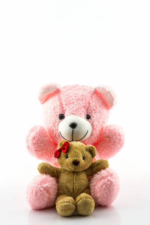 Pink and brown teddy bear on white background.の写真素材
