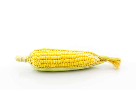 Fresh organic corn on white background.の写真素材