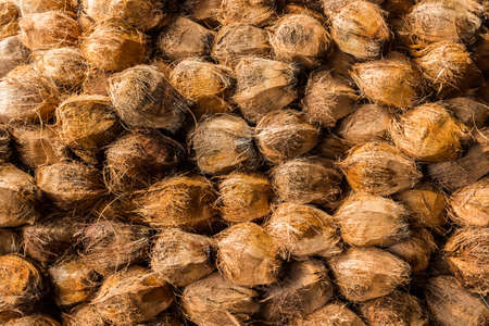 Group of Coconuts which  taking out coconut cover.
