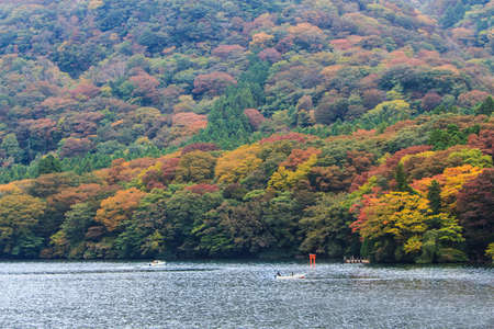 Beautiful landscape of autumn leaves colors in Hakone, Japan.の写真素材