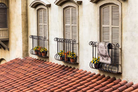 Old vintage window on yellow wall with flowerpot.