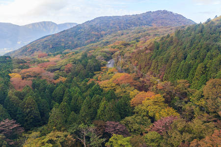 Top view of beautiful forest of autumn leaves in Hakone, Japan.