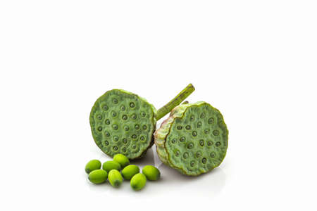 Calyx, Lotus seeds green on white background.の写真素材