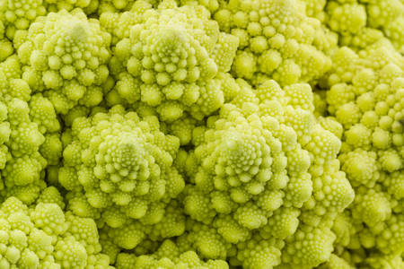 Fresh of green vegetable,Romanesco broccoli, Roman cauliflower on texture background.の写真素材