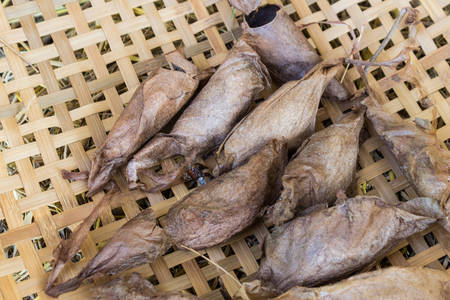 Cocoon of silkworm, the silk worm cocoon, the process, bringing silks to silk.の写真素材