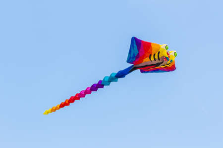 Colorful of kite flying in the wind on blue sky background.の写真素材