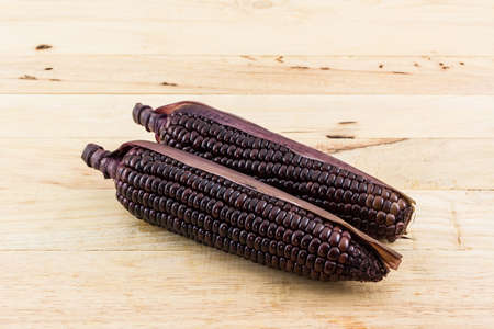 Fresh purple organic corn Maize on wood background.の写真素材