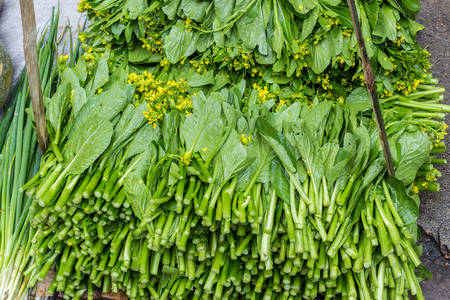 Fresh Chinese Cabbage plant for sale at the market in China.の写真素材