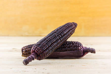 Fresh purple organic corn, Maize on wood background.の写真素材