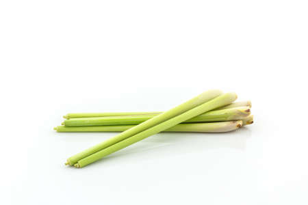 Lemon grass or Oil grass on white background.の写真素材