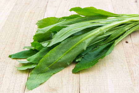 Culantro or Parsley on wood background.の写真素材