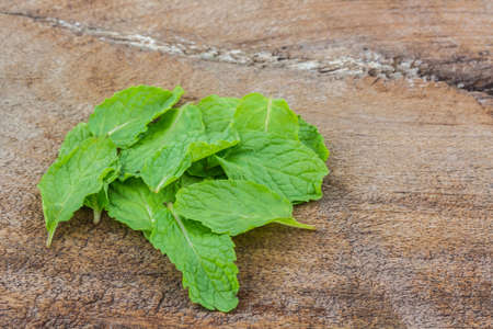 Kitchen mint or marsh mint on wood background.