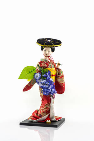 Japanese geisha dolls with wisteria blossome on white background.の写真素材