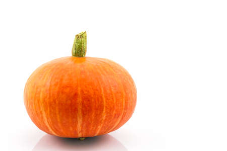 Fresh orange pumpkin on white background.の写真素材