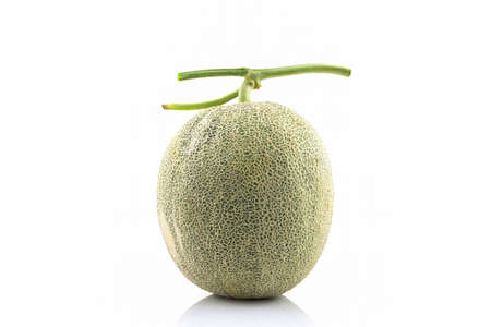 Close up of whole cantaloupe fruit on white background. Green melon.の写真素材
